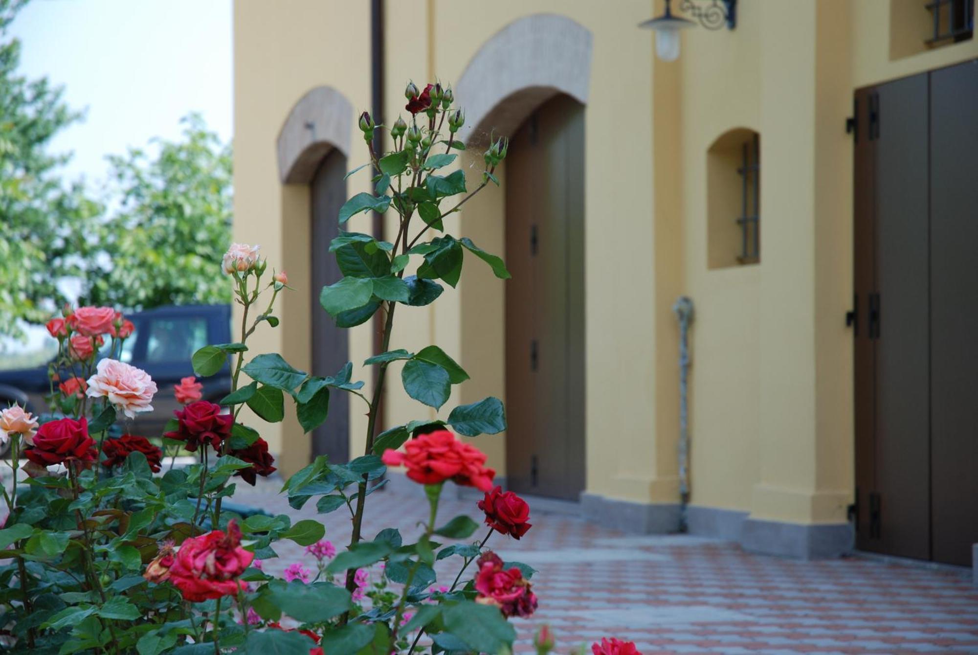 Farm stay Agriturismo Flabeto Budrio (Bologna)