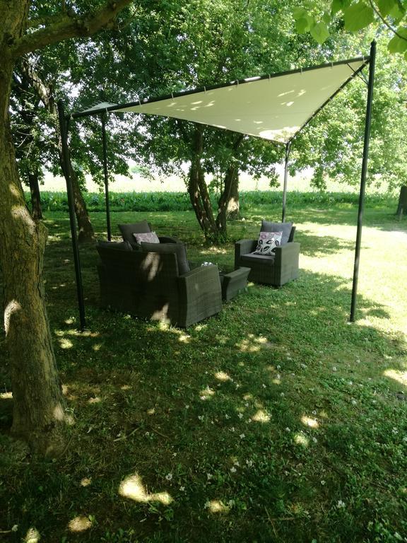Agriturismo Flabeto Farm stay Budrio (Bologna)