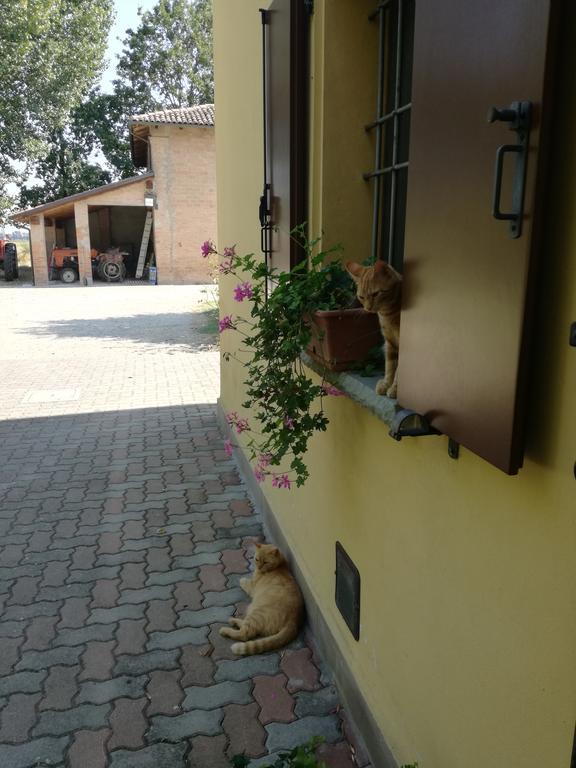 Agriturismo Flabeto Budrio (Bologna)